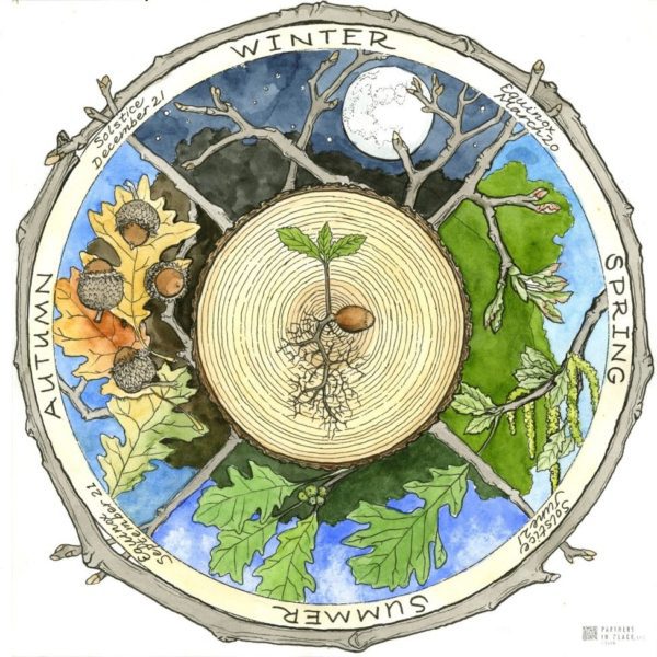 walking the wheel of the year, Order of Bards, Ovates & Druids.