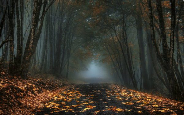 misty autumn road, Order of Bards, Ovates & Druids.