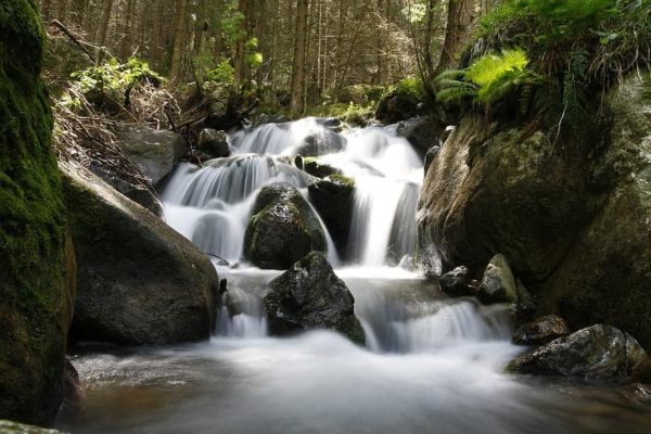 waterfall nature water forest flow bach calming energy, Order of Bards, Ovates & Druids.