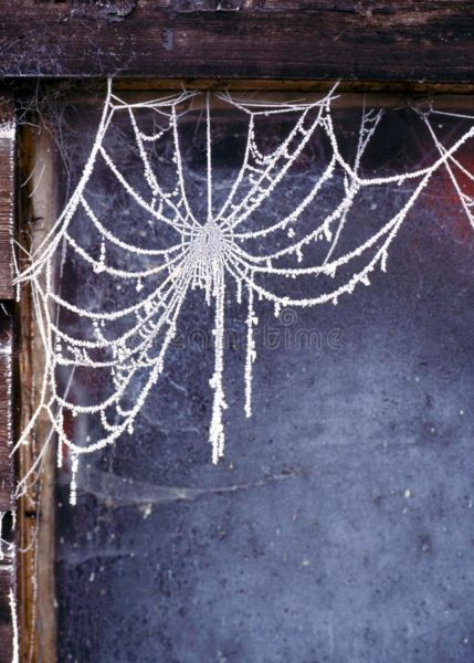 frosty spiders web dilapidated shed window 116336198, Order of Bards, Ovates & Druids.