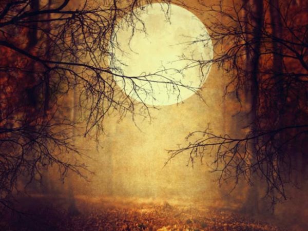 samhain moon, Order of Bards, Ovates & Druids.