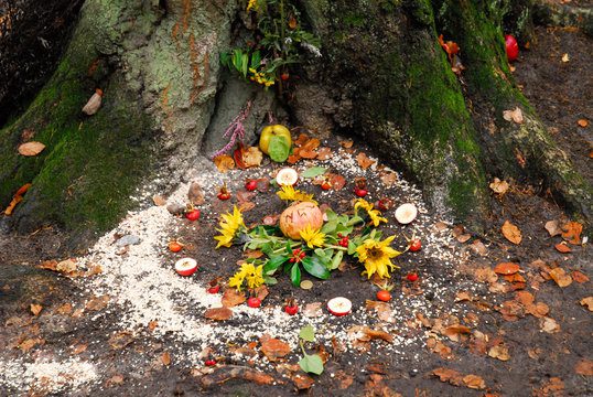 tree shrine, Order of Bards, Ovates & Druids.