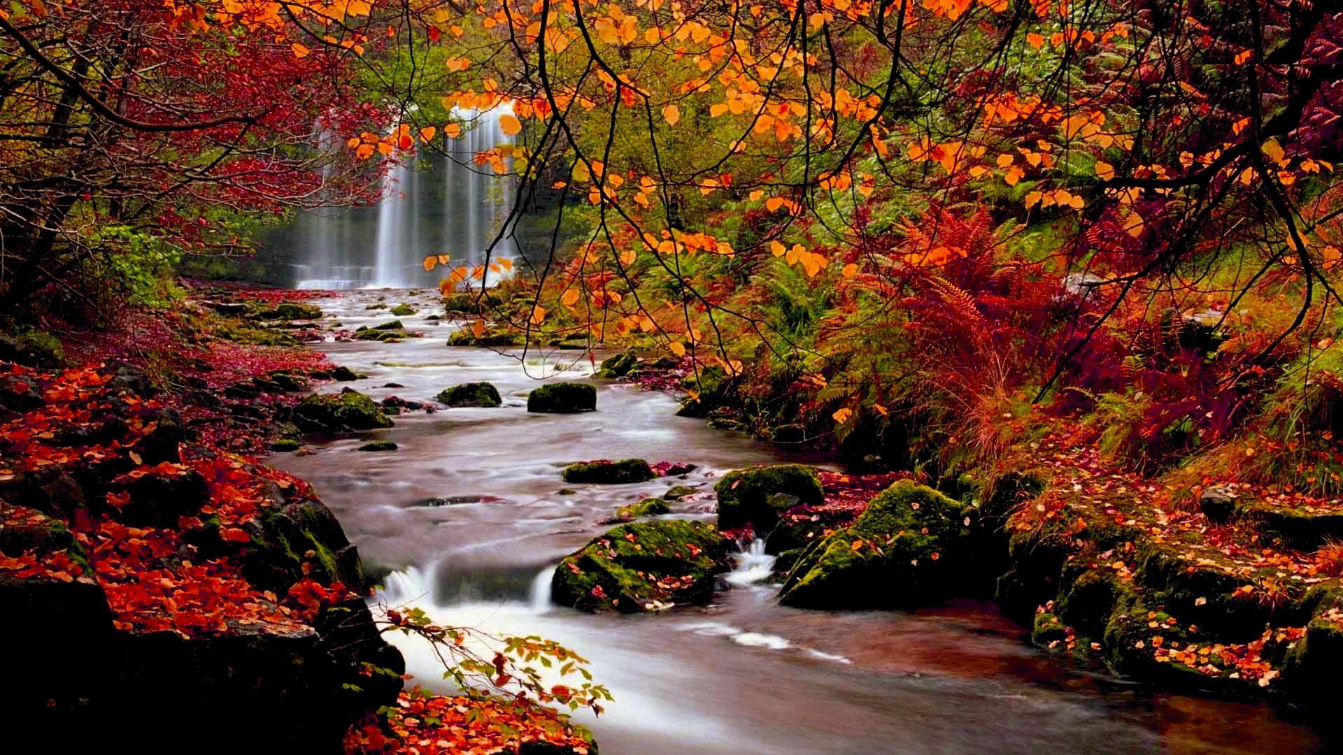 autumn water stream, Order of Bards, Ovates & Druids.