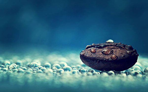 coffee beans macro relaxation relaxing wallpaper preview, Order of Bards, Ovates & Druids.