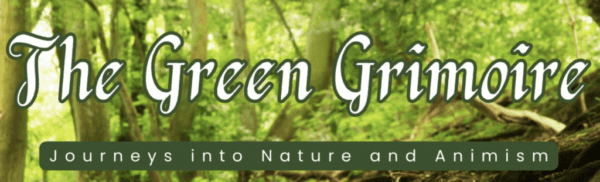 New YouTube Channel Launched – The Green Grimoire