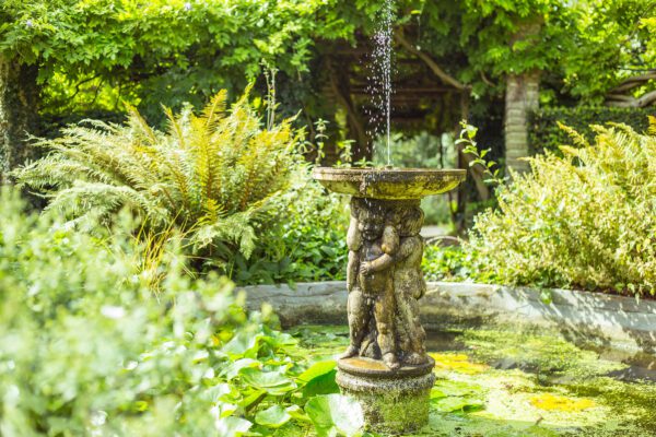 The Rookery: Magic in a Formal Garden