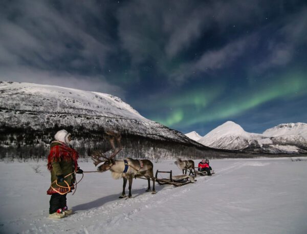 reindeers northern lights, Order of Bards, Ovates & Druids.