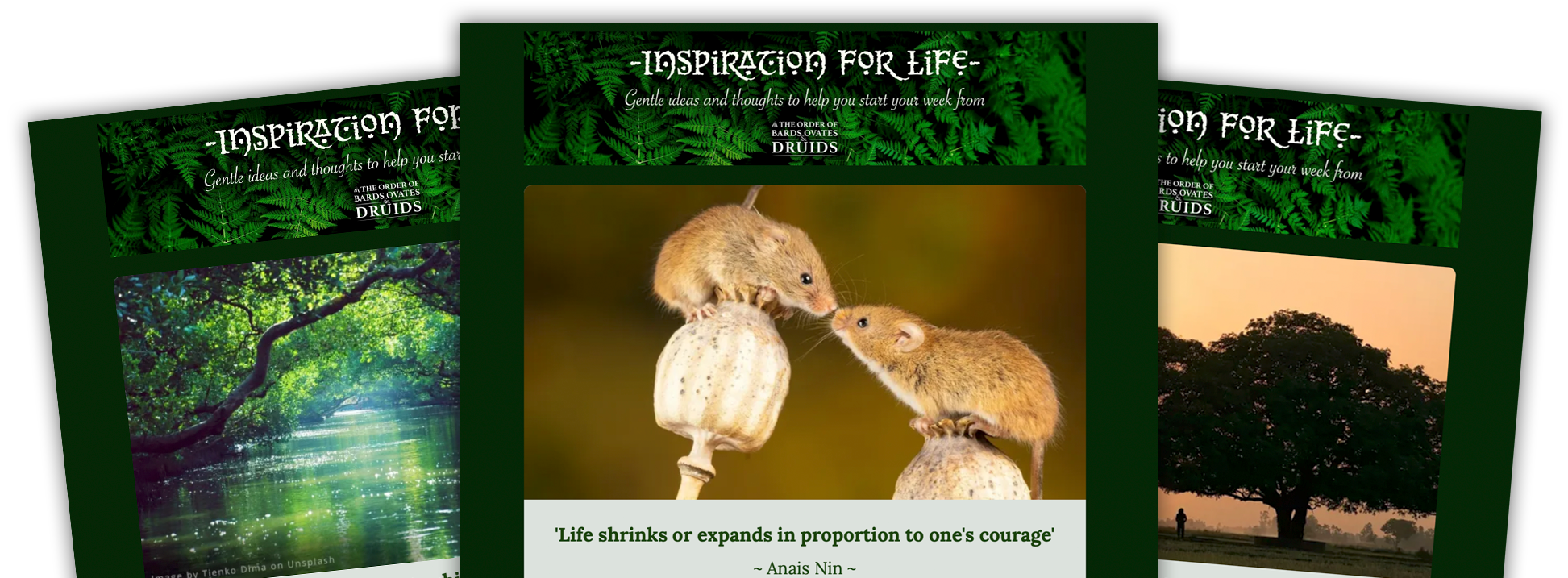 IFL section mailoutExamples aug26, Order of Bards, Ovates & Druids.