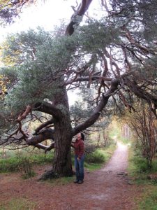 28-Mt-Heamus-Lecure