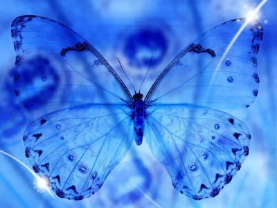 blue-butterfly-wallpaper-cave