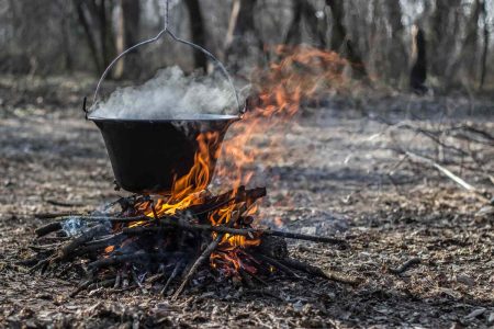 cauldron forest