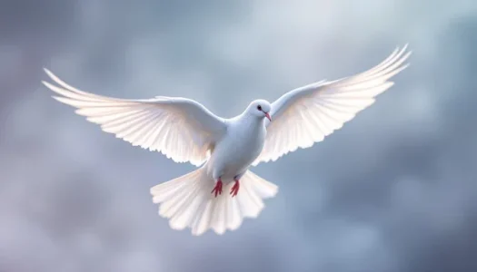dove-wings-spread-stockcake