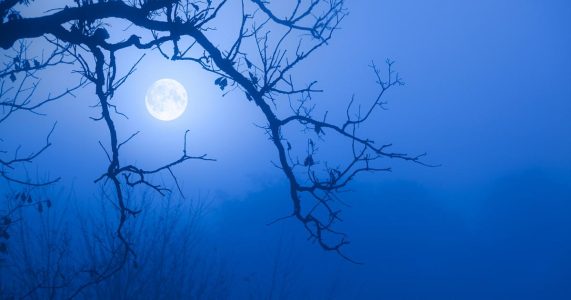 full-moon-peeking-tree-branches-fog