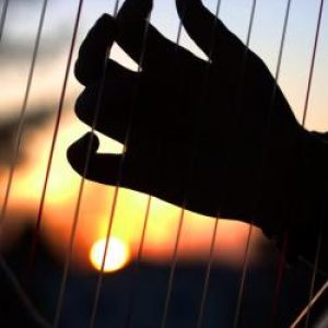 harp-hands