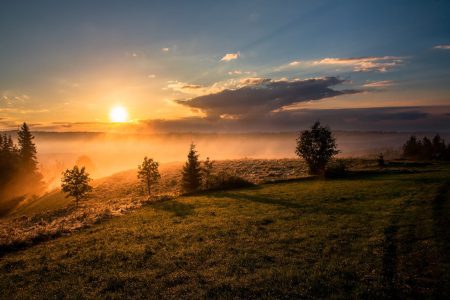 header-fallback-druidry-image
