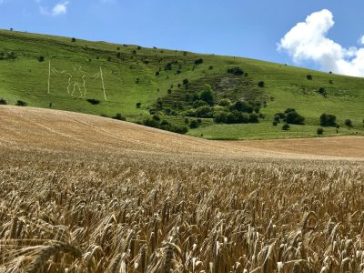 long man corn