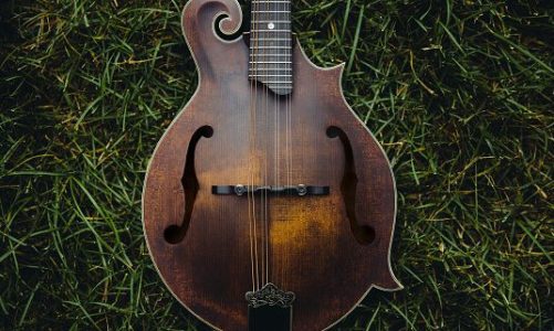 An f-style mandolin lies on a lush green lawn.