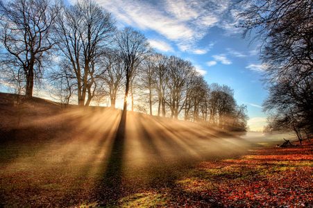 nature-first-sunrays-hd-wallpaper-for-desktop-download-free
