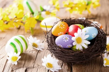 spring equinox Philip's blog 2025